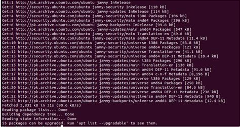 Install and Use tcsh in Linux – TheLinuxCode.